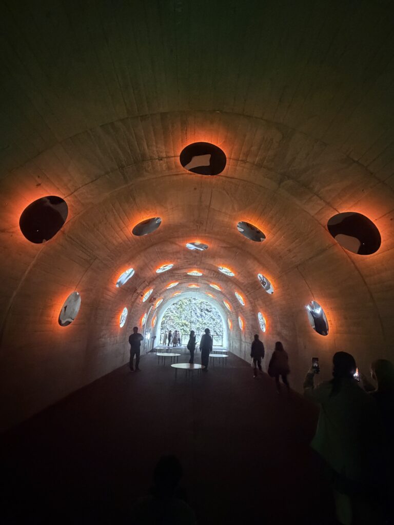 「テントウムシぽい」清津峡