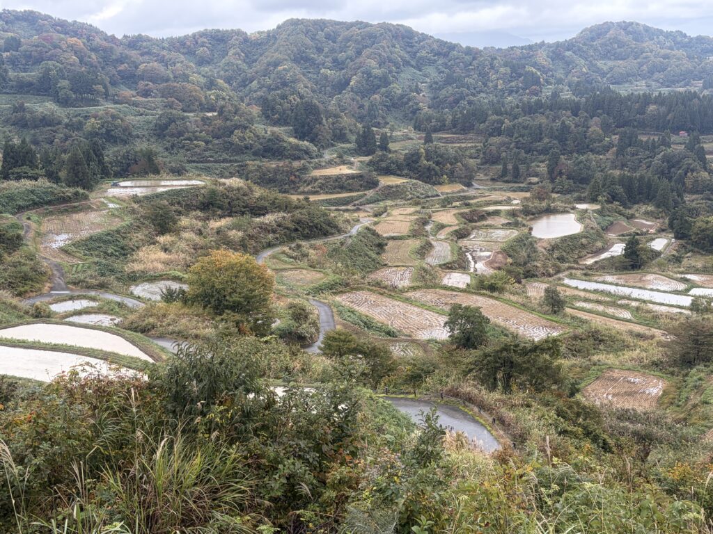 「星峠の棚田の風景」小雨