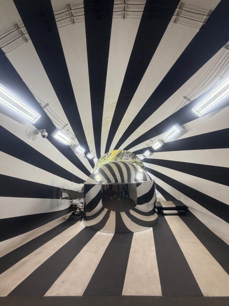 「奇抜なトイレ」清津峡