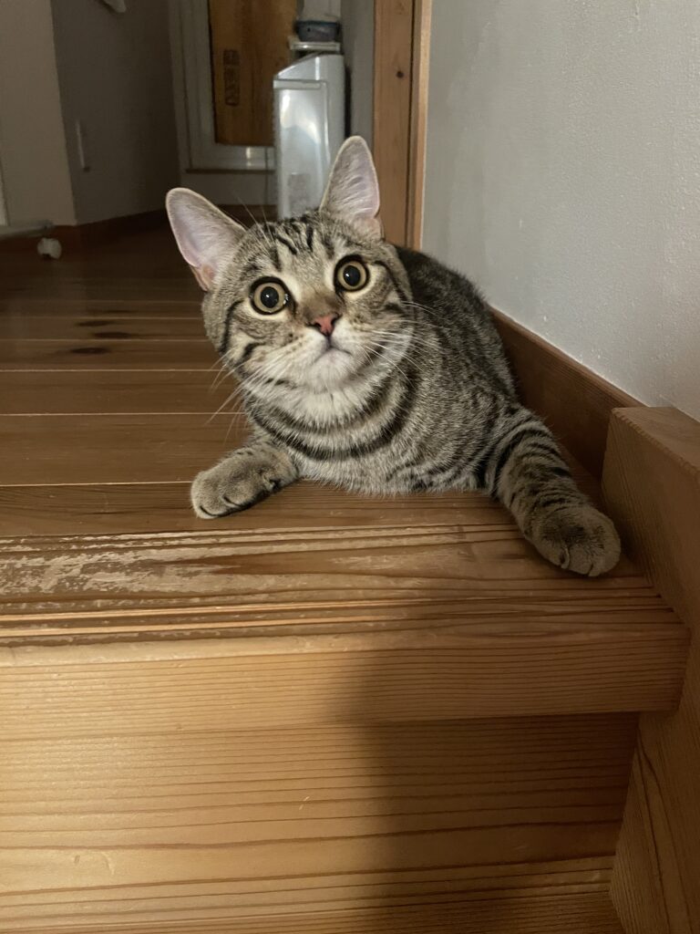 バブル