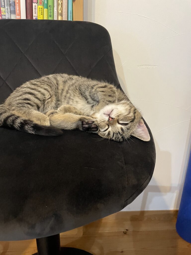 バブル