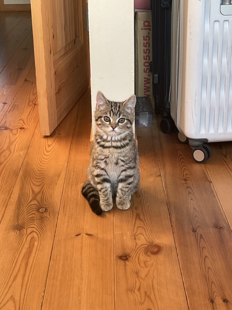バブル