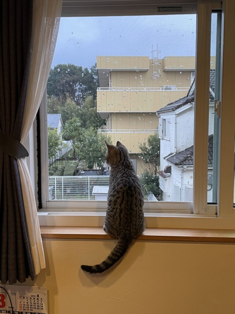 バブル