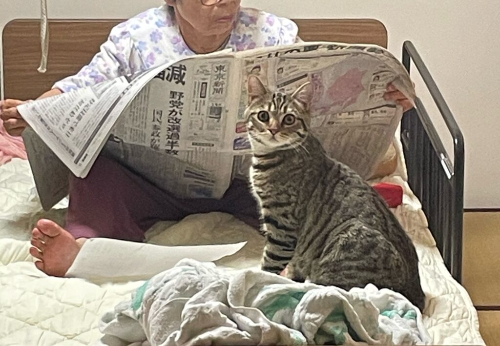 バブル