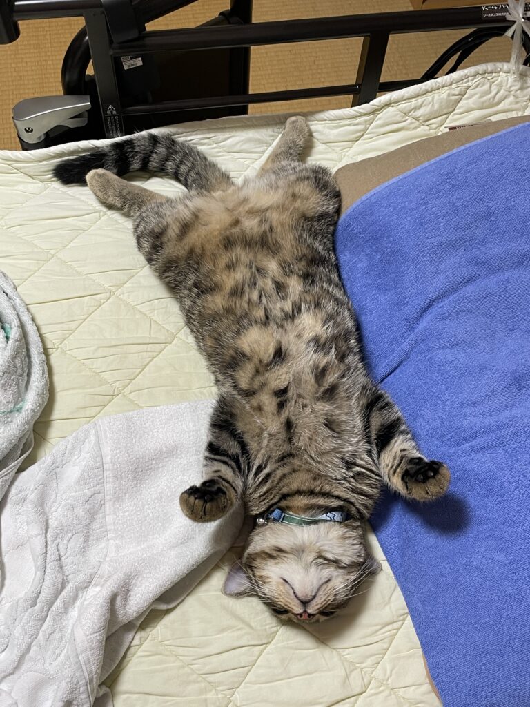 バブル