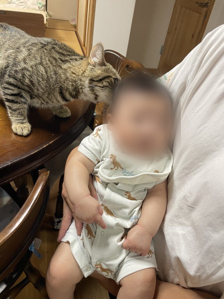バブルと赤ちゃん